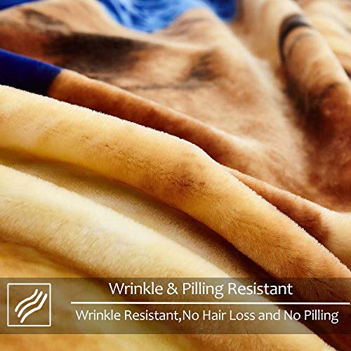 JYK Heavy Korean Faux Mink Fleece Blanket, 5 LB 2 Ply Reversible