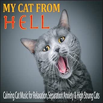 i calm cat music