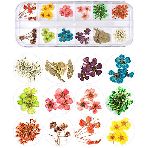 editTime 36 Colors Nail Dried Flowers 3D Nail Art Sticker, Flower Beauty Nail Stickers for Manicure, Natural Real Dry Flower Kit with a Curved Tweezers and a Nail Brush(4) - Thumbnail 2