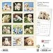 Golden Retriever Puppies 2020 12 x 12 Inch Monthly Square Wall Calendar, Animals Dog Breeds Golden Puppies