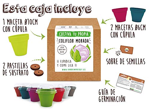 Garden Pocket - Kit Cultivo Coliflor Morada: Amazon.es: Jardín