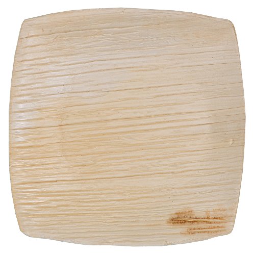GREEN ATMOS 100 PACK - 4 X 4 QUADRATO SQUARE MINI TASTER / COOKIES PLATE BIODEGRADABLE, COMPOSTABLE AND ECO-FRIENDLY DISPOSABLE ARECA PALM LEAF PLATES GREEN ATMOS 100 PACK - 4" X 4" QUADRATO SQUARE MINI TASTER / COOKIES PLATE BIODEGRADABLE, COMPOSTABLE AND ECO-FRIENDLY DISPOSABLE ARECA PALM LEAF PLATES