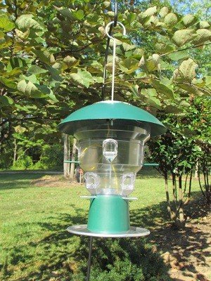 Wild Bill's 8 Station Squirrel Proof Bird Feeder