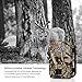 WOSPORTS Trail Camera, 2018 Upgraded 1080P 12MP Hunting Game Camera, Wildlife Camera with Upgraded 850nm IR LEDs Night Vision 65ft, 2.4''LCD IP54 for Home Security Wildlife Monitoring/Hunting