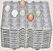 Egg Flats- 18 Henlay 30-Count Egg Trays- Extra Study, Premium Grade- 5x6 Recycled Paper Pulp Filler Flat (18 Pack)