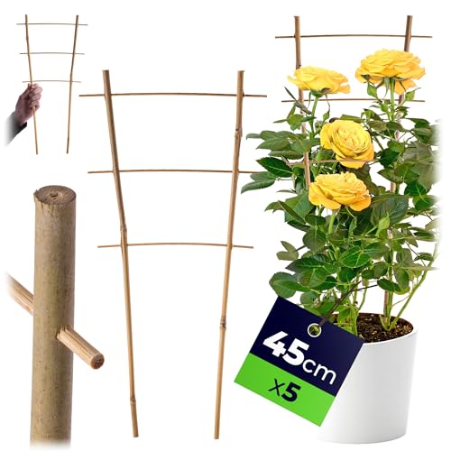 Update gefällig? Der Preis für KADAX Bambusleiter, Stützleiter... beträgt momentan 11,49€. Nicht entgehen lassen!