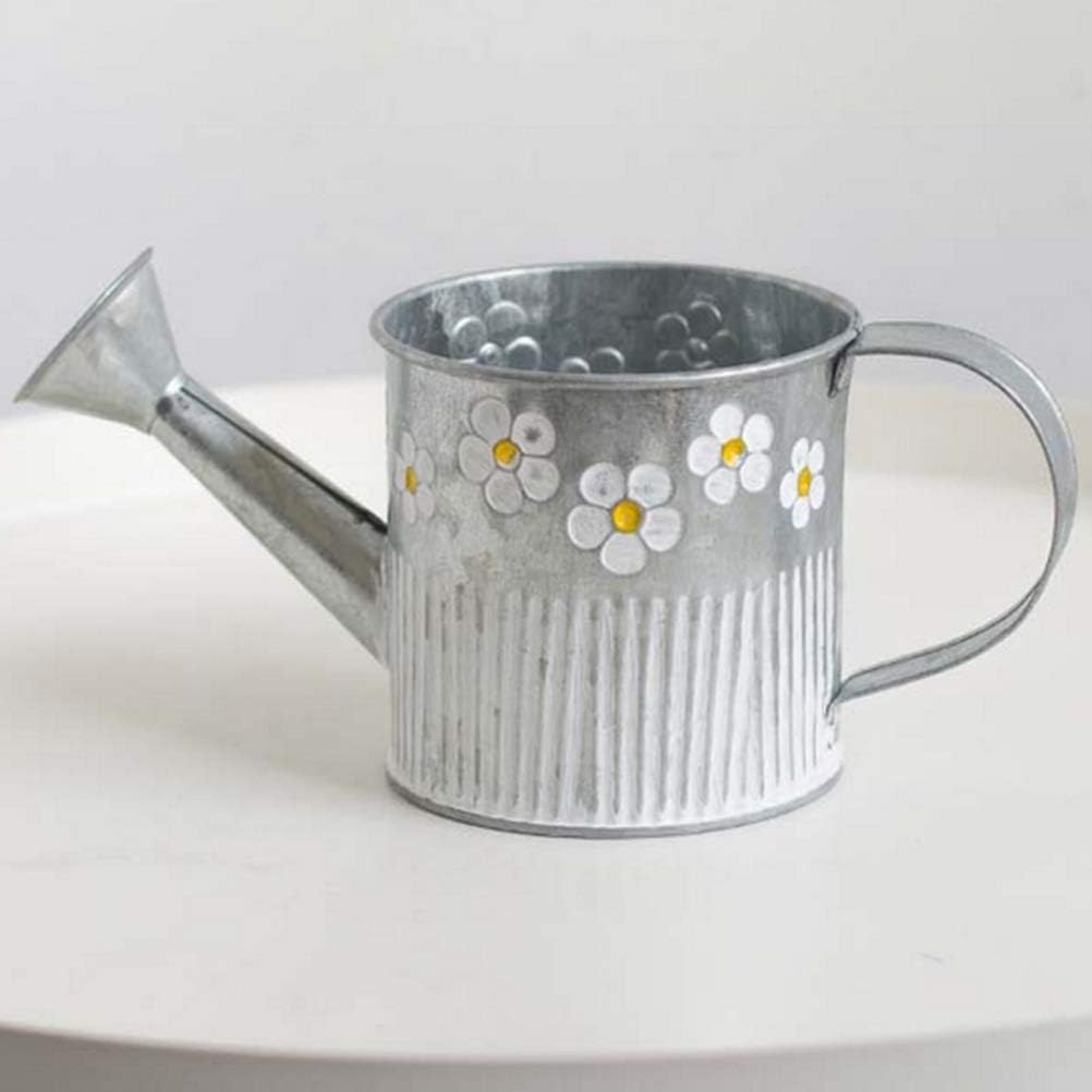 para Decoración Interior O Exterior CJMING Cubo De Metal De Flores