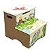 Fantasy Fields - Dinosaur Kingdom Thematic Kids Wooden Step Stool with Storage | Imagination Inspiring Hand Crafted & Hand Painted Details   Non-Toxic, Lead Free Water-based Paint