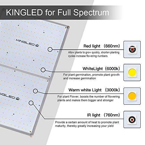King Plus UL Series 4000W LED Grow Light Full Spectrum Plants Lights