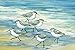 Portfolio Canvas Décor 'Surfside Sandpipers' by Paul Brent 24x36x1.5, 1 Piece Canvas Wall Art