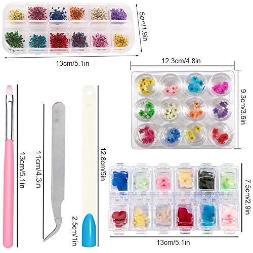 Sealive 3D Nail Art Accessories Kits 12 Colors Natural Real Dried Flowers Nail Art 3 Set, with 50 Pcs Fan-shaped PVC False Nail Art Tips Practice Display, Nail Brush and Nail Stickers Decal Tweezer - Thumbnail 6