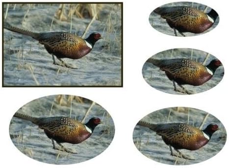 Ring-necked Pheasant Oval Pyramid by Apetroae Stefan