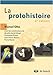 la protohistoire (2e édition) by