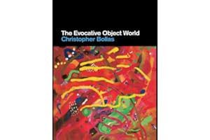 The Evocative Object World