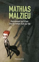 Maintenant qu'il fait tout le temps nuit sur toi