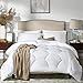 MoMA White Quilted Queen Comforter - Duvet Insert Comforter Set - Elegant Bedding for Comfort -Soft Comforter - Hotel Style Down Alternative Comforter - Hexagonal Lattice Design Comforter - 86