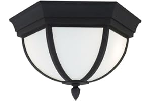 SEA GULL LIGHTING Generation Lighting 79136EN3-12 Wynfield Two Light Outdoor Ceiling Flush Mount, Black Finish