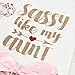 puseky Newborn Baby Girl Auntie Clothes Romper Floral Shorts with Headband Summer Outfits Cute Baby Girl Auntie Outfits 0-6 Months