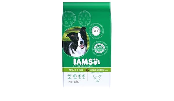 iams dog food small medium