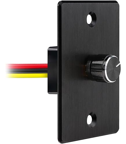 DC 12V Dual LED Dimmer Switch With USB Fast Charging – 2-Gang Rotary Controller With Memory, 1-100% Brightness Adjustment For RV, Truck, Caravan, Boat Lighting Systems (Black)
