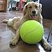New Big Giant Pet Dog Puppy Tennis Ball Thrower Chucker Launcher Play Toy by MOS