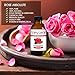 Rose Absolute With Rosehip Oil & Jojoba, 100% Pure, Premium, Authentic, Therapeutic Sensual Essential Oil, Light Weight, Absorbs Quickly, Romantic/Sensual Uplifting Floral Aroma