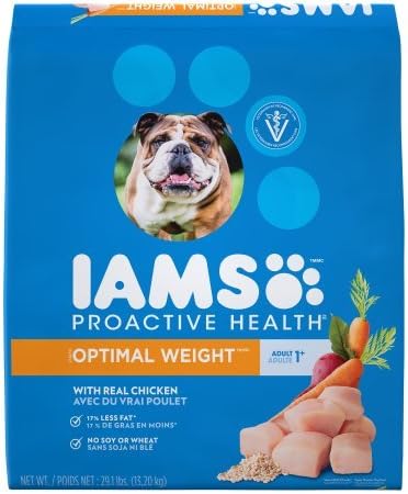 lemon beagle lab mix