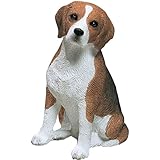 Sandicast Mid Size Beagle Sculpture - Sitting