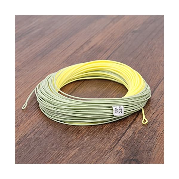 Maxcatch-Fly-Line-with-Welded-Loop-Weight-Forward-Floating-Line-100ft-OrangeBlue-3F4F5F6F7F8F