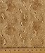 Cotton Landscape Medley Sand Footprints Beach Mini Seashells Cotton Fabric Print by the Yard (418-sand)