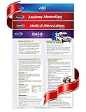 EMT Bundle - Emergency Medical - Medicine Quick Reference Guides by Permacharts