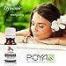 Clove Bud Essential Oil 10 ml (0.33 fl. Oz.) - GCMS Tested, 100% Pure, Undiluted and Therapeutic Grade