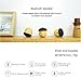 Portable Bluetooth Speaker Nut, Tonsum Mini Wireless Wood Outdoor Rechargeable Loudspeaker Car Subwoofer stereo audio player as Christmas Gift for Smartphone and Home Deco