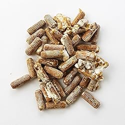 Spawn and Wax Combo - Shiitake Mushrooms Mushroom