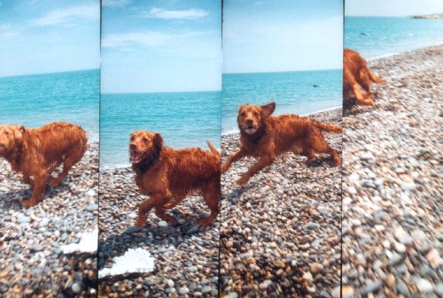 Lomography SuperSampler Rubberized Black