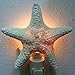 PEPPERLONELY Off White Jungle Starfish Night Light Night Light Nautical Natural Seashell Beach Home Décor