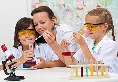5 Transfer+Pipettes+Disposable+Graduated+Essential