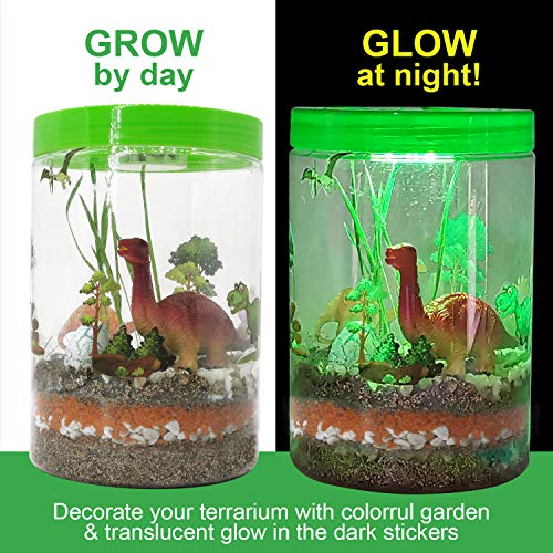 Dinosaur Lightup Terrarium Kit for Kids STEM Educational DIY Science