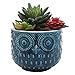 MyGift 5 Inch Whimsical Ceramic Succulent Cactus Herb Planter Pot with Textured Owl Face Design and Blue Glossy Finish