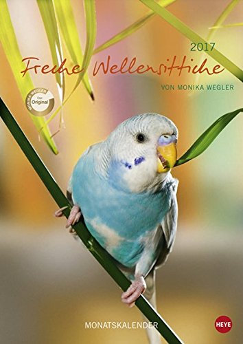 Wellensittichkalender  Schmuck für die Wand und dem Tisch