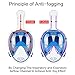 Naedw Full Face Snorkel Mask 180° Panoramic View Diving Scuba Mask Easy breath with Anti-Fog and Anti-Leak with Adjustable Head Straps Design for Adults,Youth,kids (White/Blue, Large)