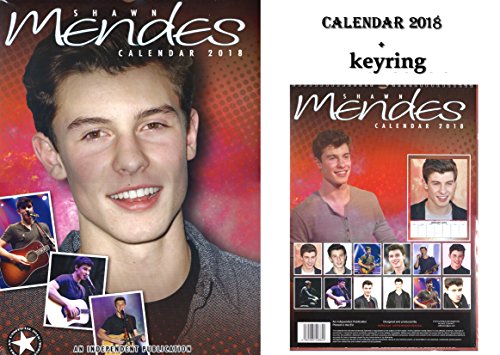 Shawn Mendes Calendar 2018 Shawn Mendes Keyring Desertcart