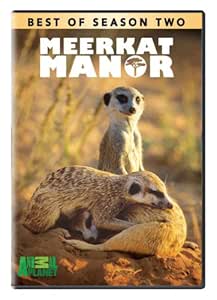 meerkat manor