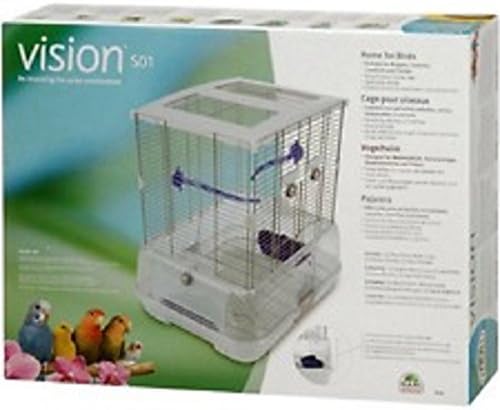 Vision II