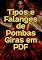 Livro Tipos e Falanges de Pombas Giras em PDF