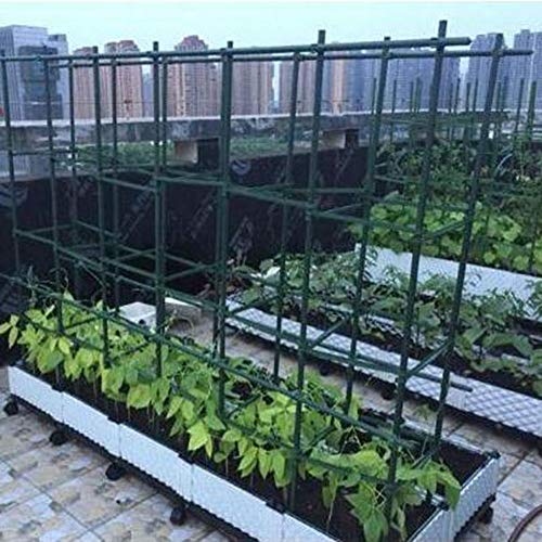 HDGZ 20er Pack Pflanzstäbe Rankstäbe Tomatenstäbe aus stabilem Kunststoffummantelten Metall, Rankhilfe für Tomaten… – Bild 4