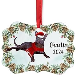 Solid Havana Brown Cat Christmas Ornament 2024