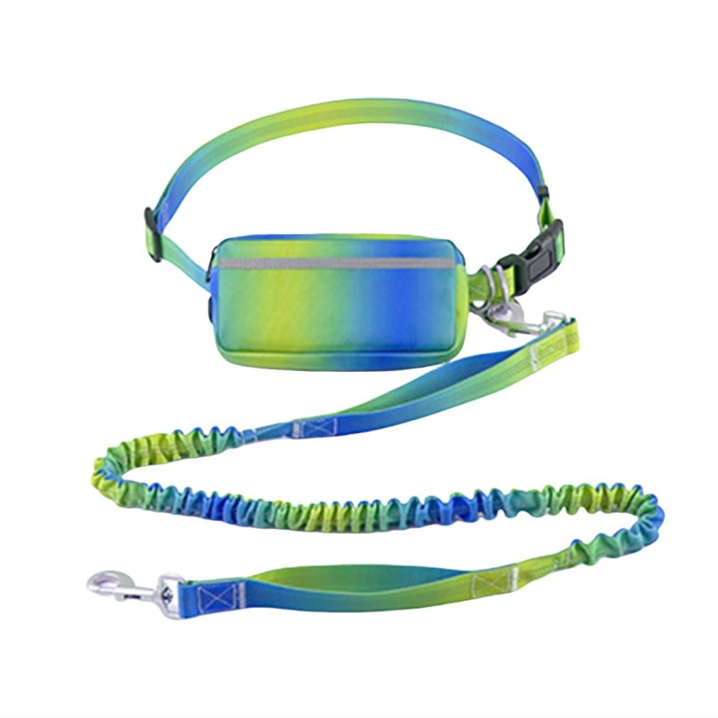 MyGiGi Hands Free Dog Leash with Zipper Pouch, Dual Handles and Durable Reflective Bungee for Walking, Jogging and Running Medium Large Dog (Yellow+Blue)