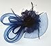 Women's Fascinators Hat Small Hairpin Feather Mesh Flower Hairclip (Navy Blue)
