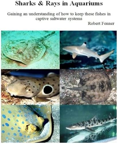 Download Sharks & Rays in Aquariums: Gaining an understanding of how to keep these fishes in captive saltwater systems PDF